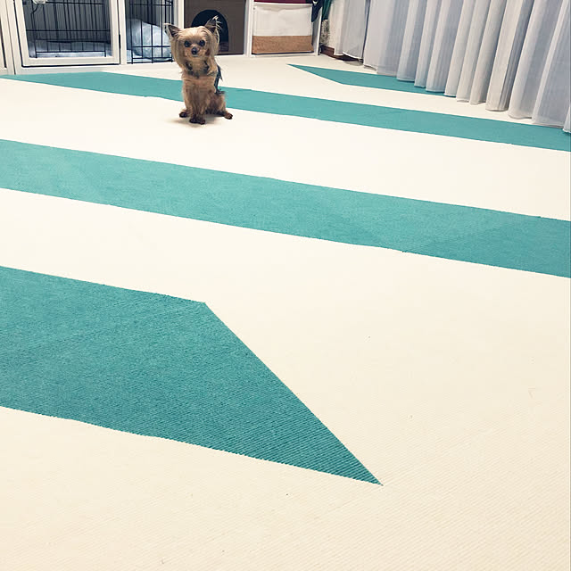 kiritobiさんの実例写真