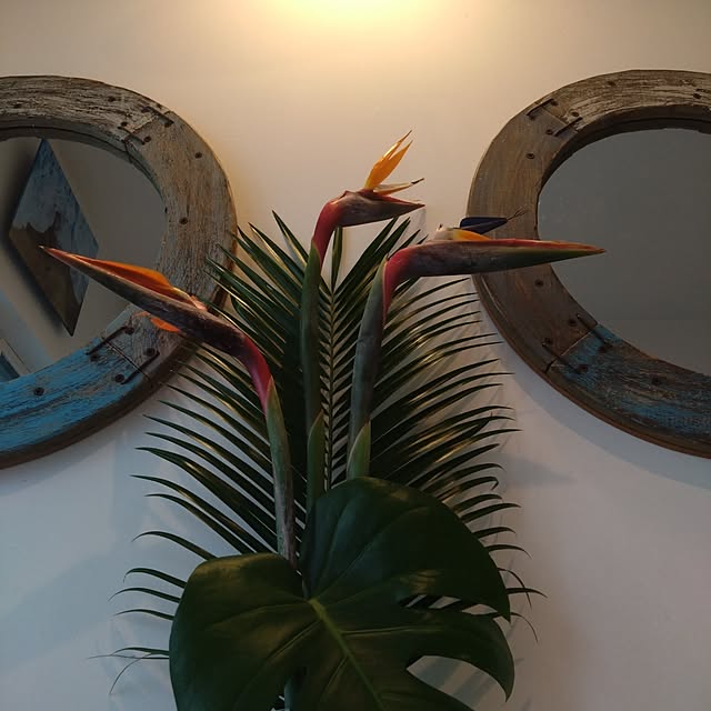 HAWAII-LIFE.さんの実例写真