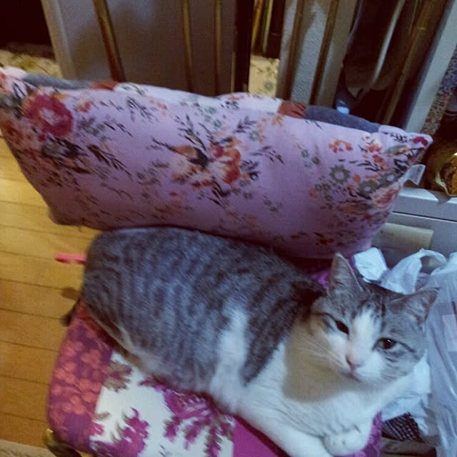 emmyyさんの実例写真