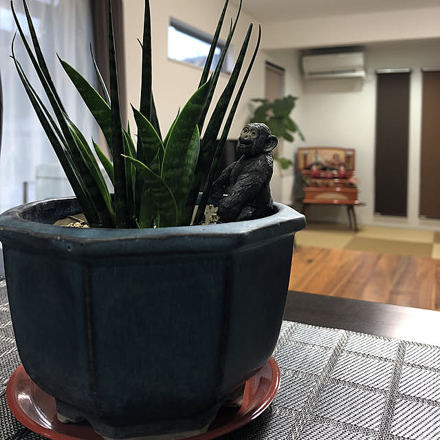 ratekoさんの実例写真