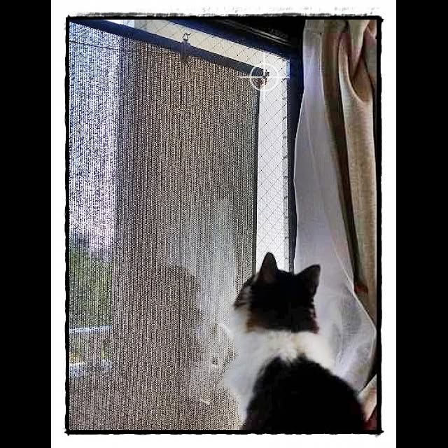 uchiholicさんの実例写真