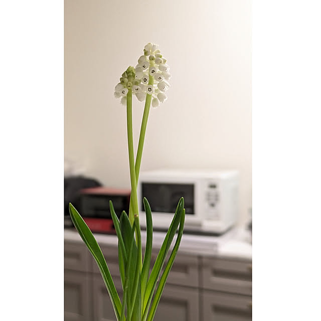 yukkin29さんの部屋