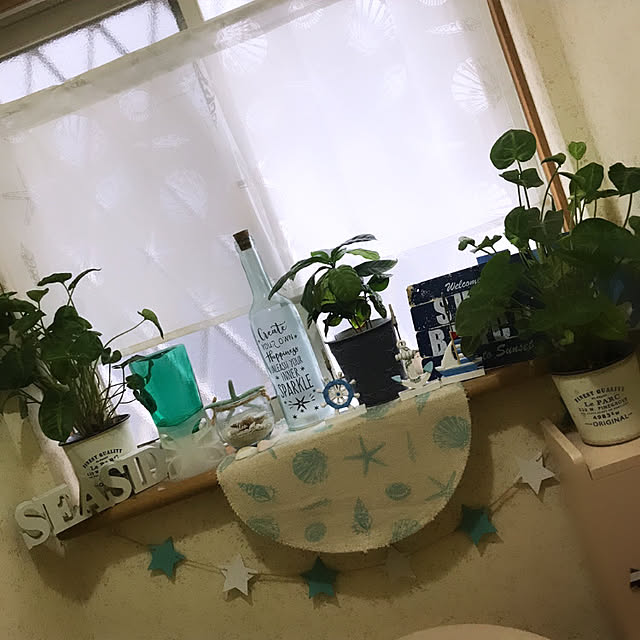 Akiさんの実例写真