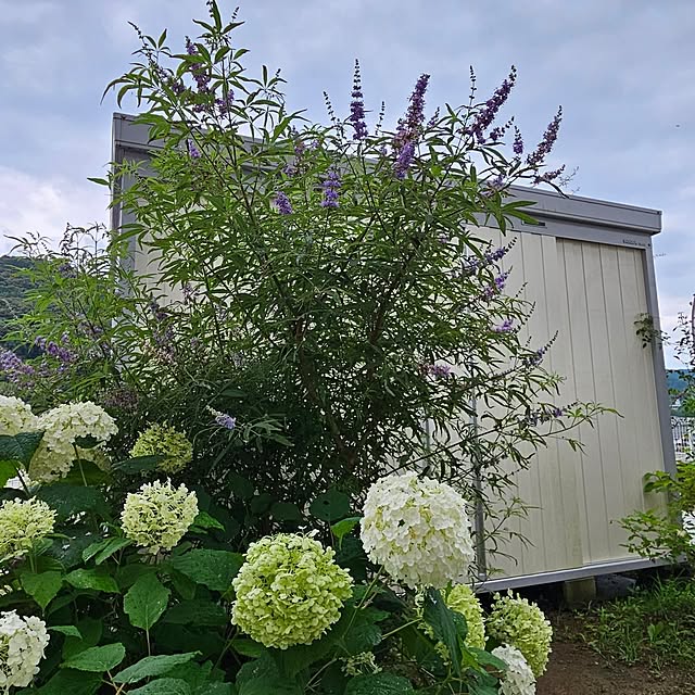 mayumiさんの部屋