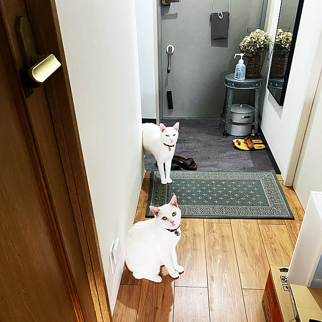 hanaさんの実例写真