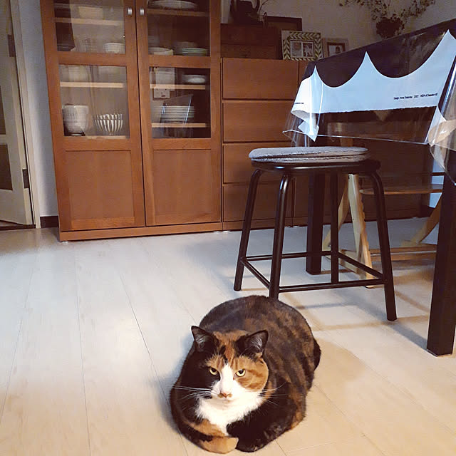 fumiyo.01さんの実例写真