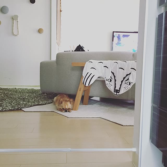 haruhinaさんの実例写真