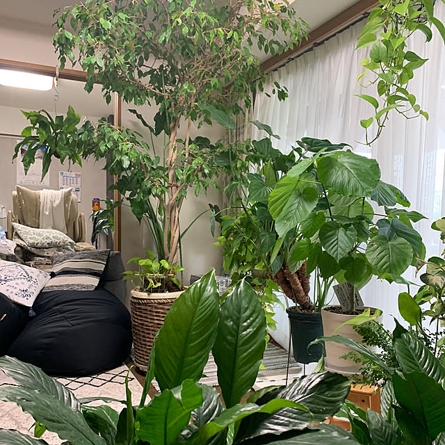 Aqettyさんの部屋