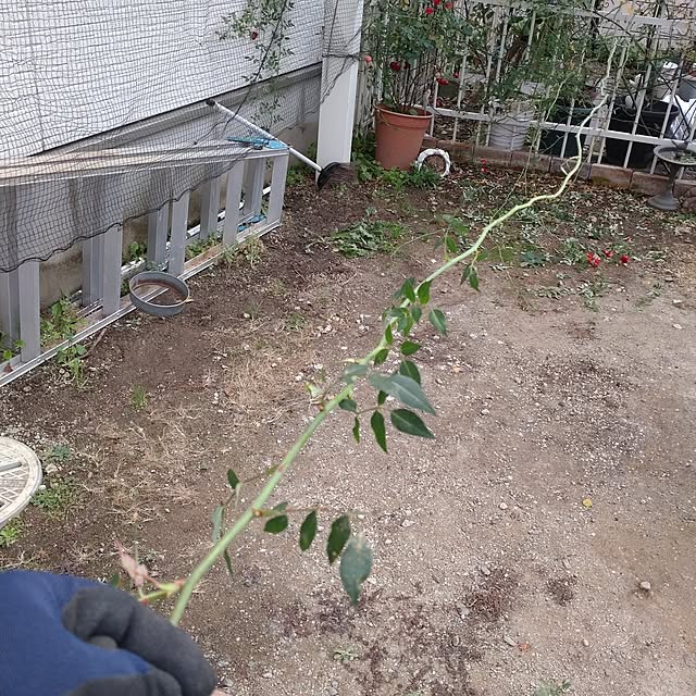 Bienvenueさんの部屋