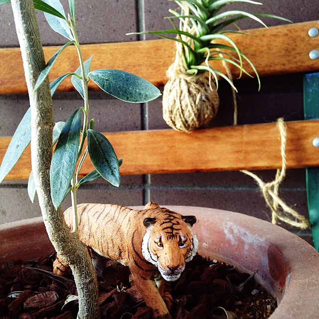 earthgreenさんの実例写真