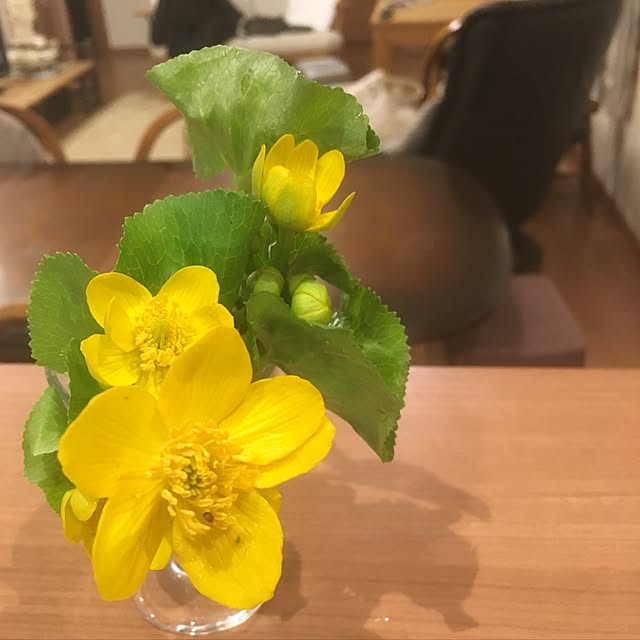 rinrinさんの実例写真
