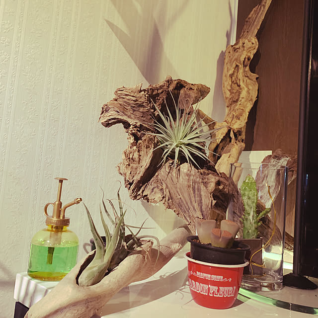 oniiさんの実例写真