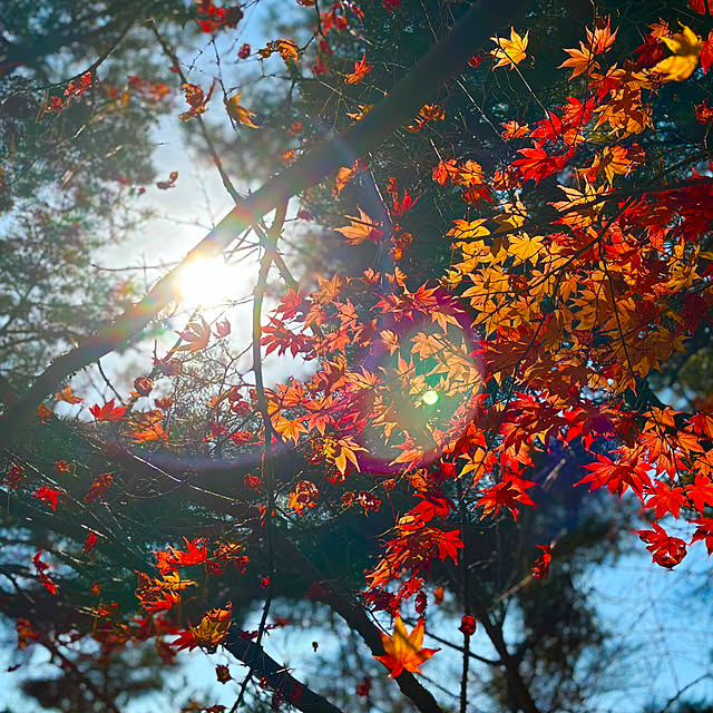 tututu0204さんの部屋