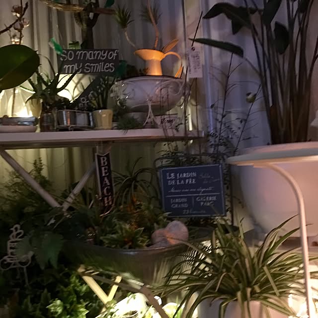 Mopmamaさんの実例写真