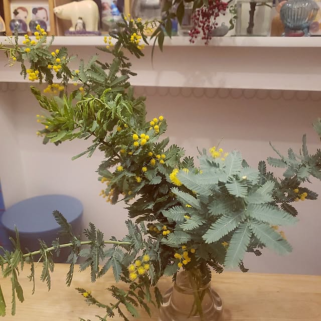 dropさんの実例写真