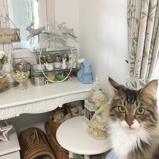 yuchiさんの実例写真