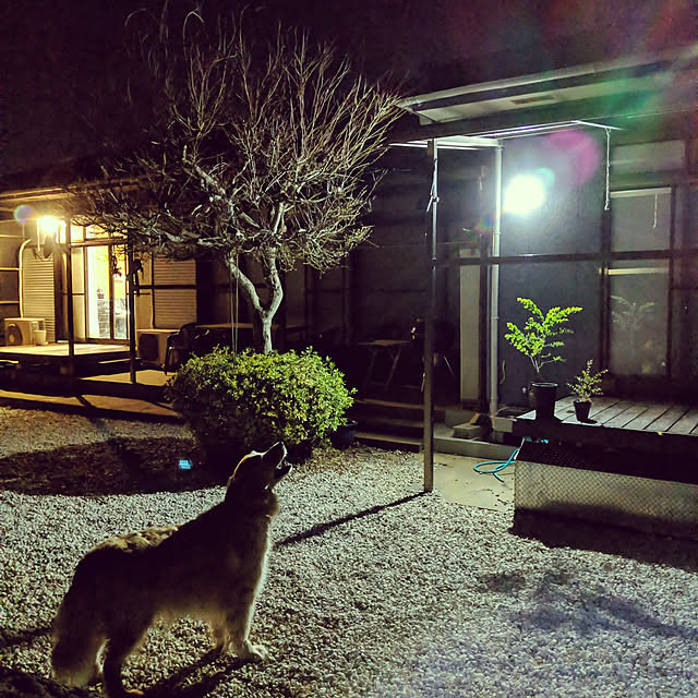 woodyさんの実例写真