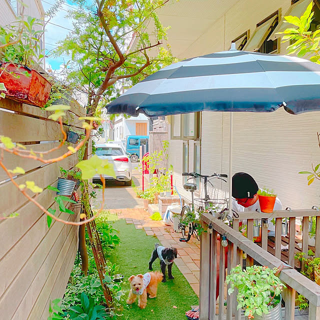 risaさんの実例写真