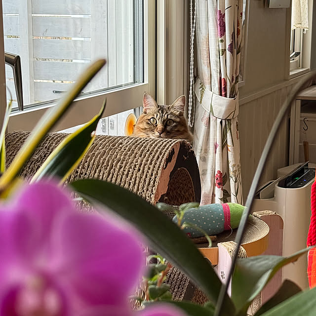 nekozo328さんの部屋