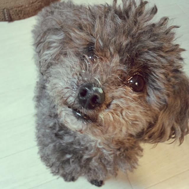 ariさんの実例写真