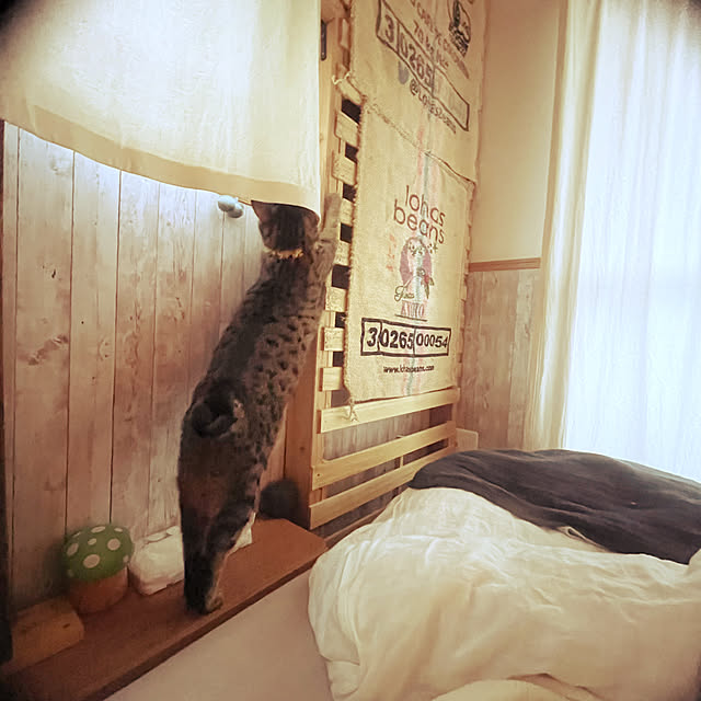 Mさんの部屋