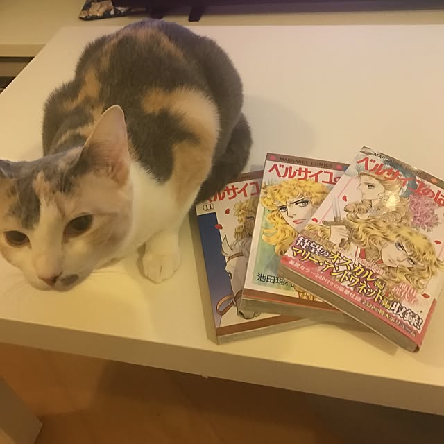 mi-mi-373さんの実例写真