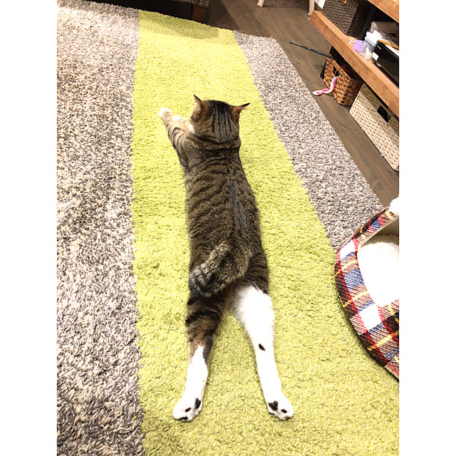 na-sanさんの実例写真