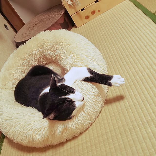 oseroさんの実例写真