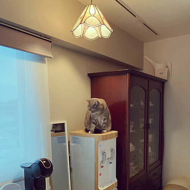 yori_miniさんの実例写真