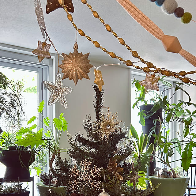 DAYONEさんの実例写真