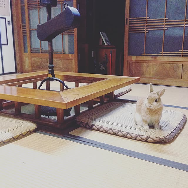 komoさんの実例写真