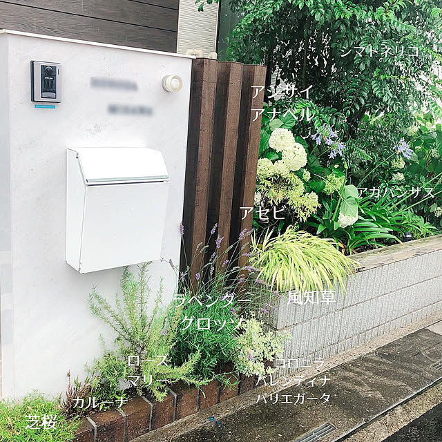 yummさんの実例写真
