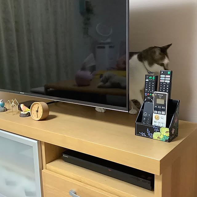 haruminさんの実例写真