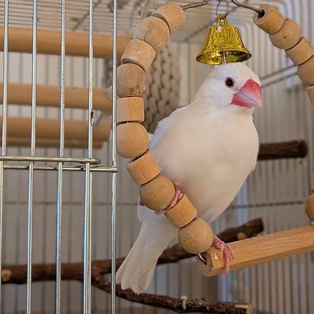 escargotさんの実例写真