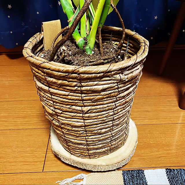 kaoriさんの実例写真