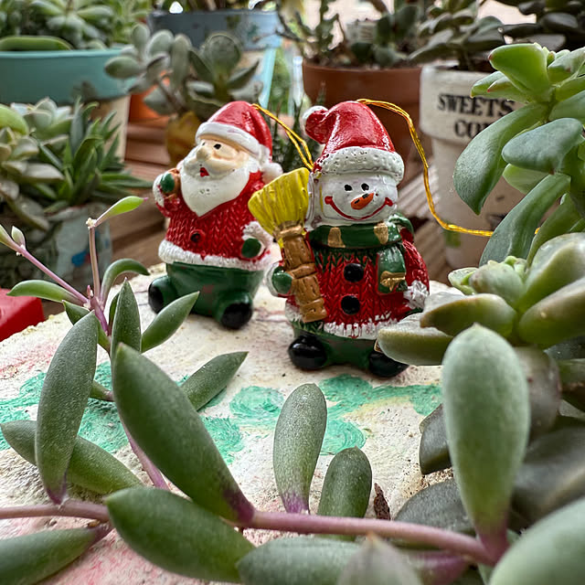 Aqettyさんの部屋