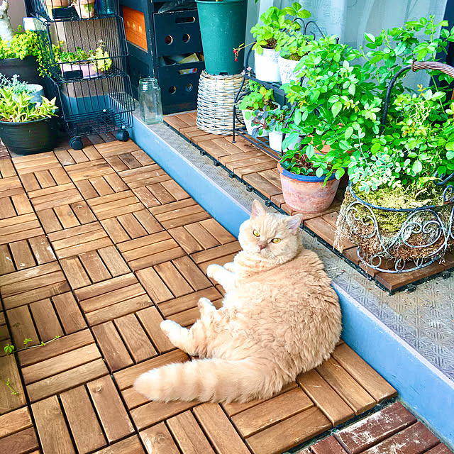 naokoさんの実例写真