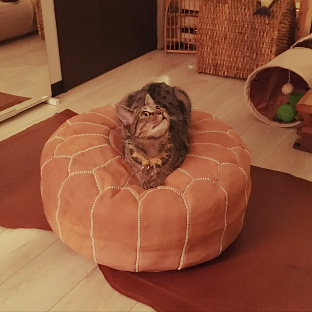 Mさんの実例写真