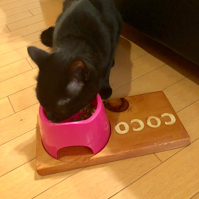 Ryoさんの実例写真