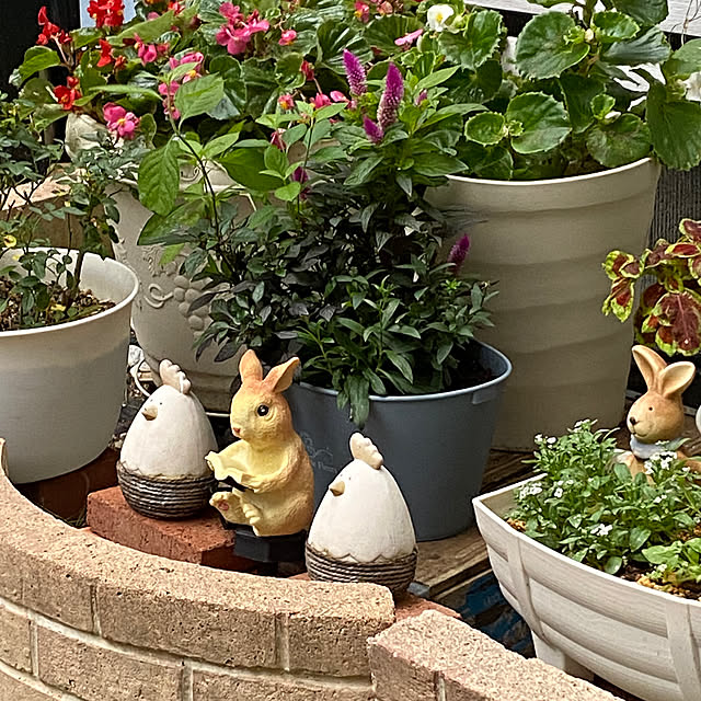 YuuKoさんの実例写真
