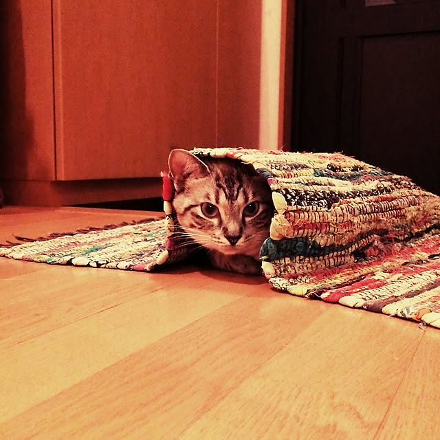 mizu.さんの実例写真