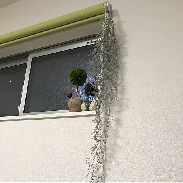 7さんの実例写真