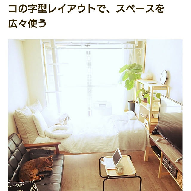 komugiさんの実例写真