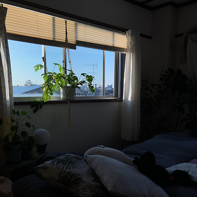 yukiatarIさんの実例写真