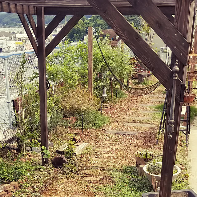 kotasukyさんの実例写真