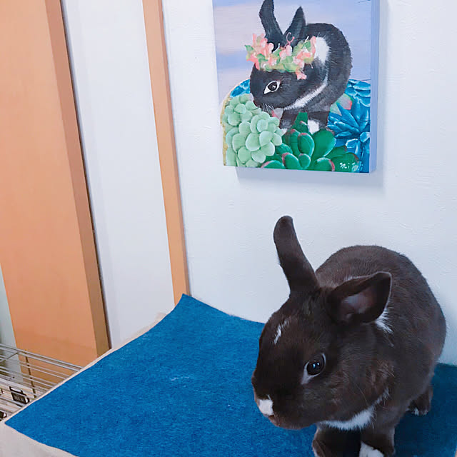 portulacaさんの実例写真