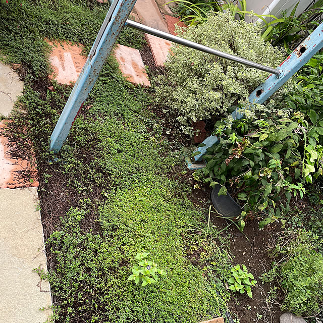 ronronさんの部屋