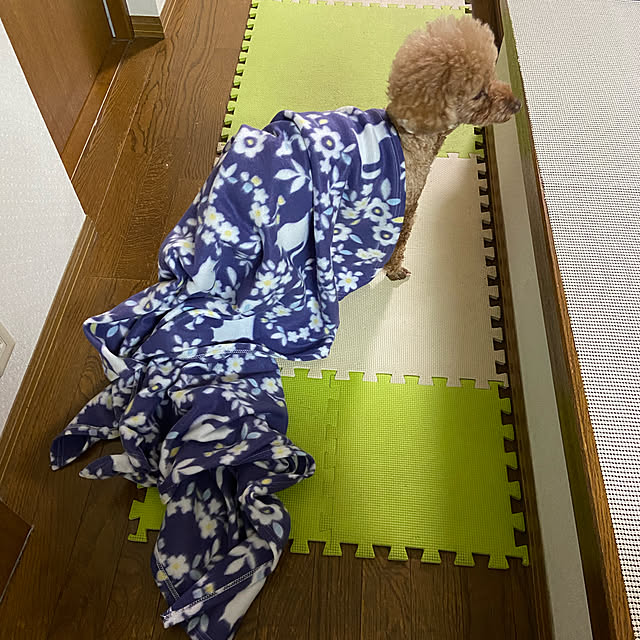 ash1024さんの実例写真