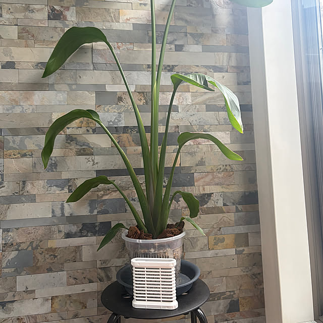 MOMOMAMAさんの部屋