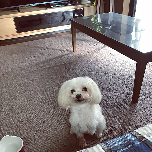 pino1227さんの実例写真